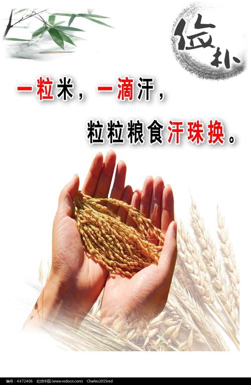 申请美国iphone